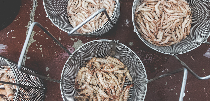 nuestromarisco_mariscoscostadehuelva1